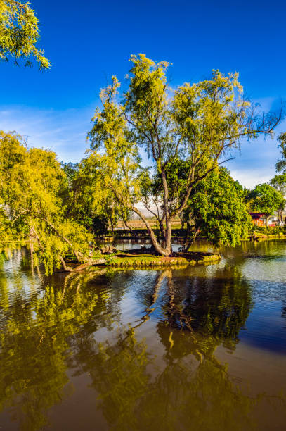 istock Landscape view of a lake 1463502261