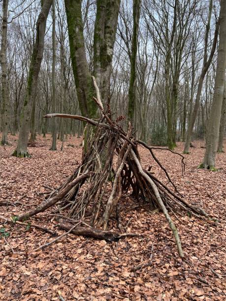 photographie d’un abri fait de rondins, de branches et de bâtons dans une forêt tranquille. amusement en plein air par une journée d’hiver froide, terne et humide. les feuilles d’automne recouvrent le sol boisé. - pit house photos et images de collection