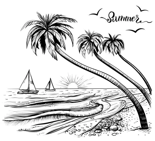 Vector illustration of Beach vector sketch with palms and yachts.