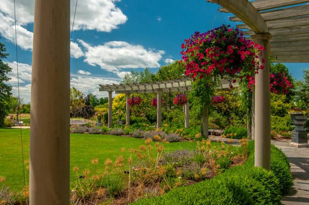 istock Lush Summer Garden 1463508918