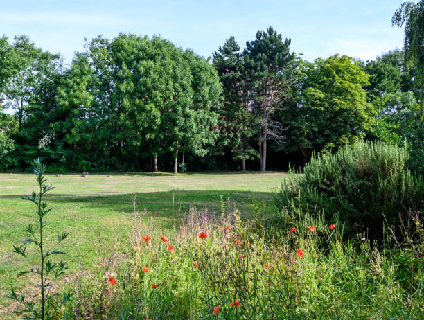 istock College Green in Bromley, Kent, UK 1463519372
