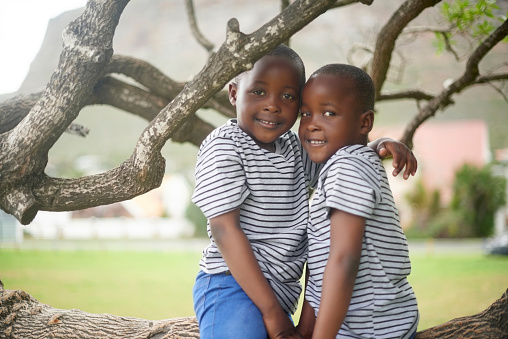 Nature, portrait and twins hugging in tree with smile on face, kids bonding and playing together in backyard. Cute children, identical twin brothers and fun for boys climbing trees in park or garden.