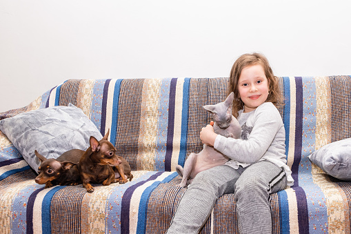 Girl 7 years old plays with pets on the sofa in the room.