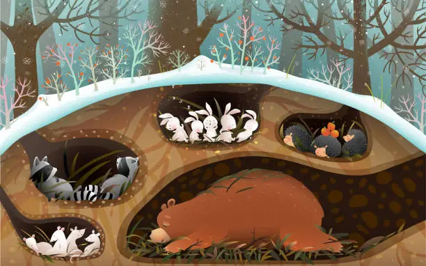 Vector illustration of Forest Animals Sleeping in Dens Burrows and Holes