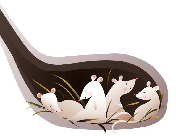 Vector illustration of Mouse Sleeping in a Den or Burrow Underground