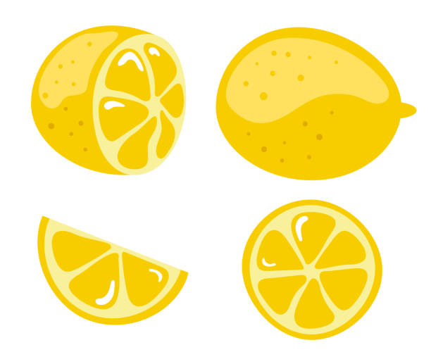 illustrations, cliparts, dessins animés et icônes de logo de l’icône demi-fruit citron vert plat ensemble de tranches isolées. illustration de conception graphique vectorielle - juicy