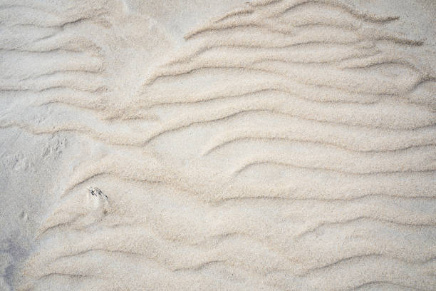 istock Sandy beach in New England in Winter 1463532703