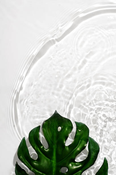 istock Transparent and clean white water background sunlight reflection 1463537161