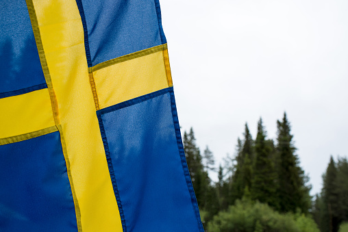Swedish flag closeup. Countries of Europe