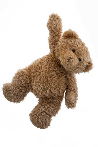The same teddy bear is available in multiple, playful settings. 