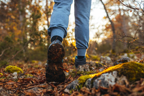 istock Hiker walks on Mountain Trail 1463541117