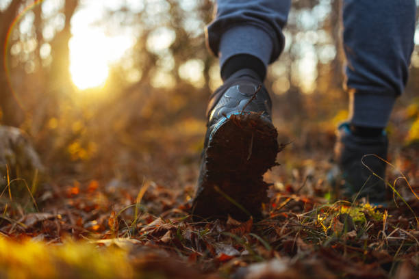 Hiking in Autumn Forest on a narrow Path