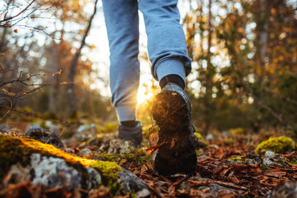 istock Woman hikes up on mountain trail, low angle view 1463541146
