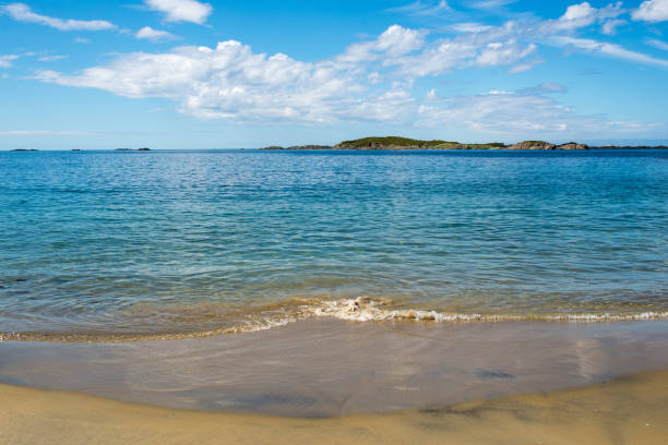 istock Beautiful beach by the ocean on a sunny day 1463541623