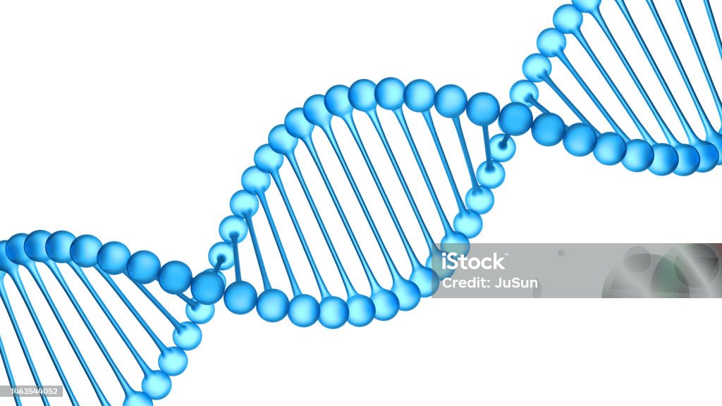 DNA strands. Double helix structure. Biotechnology and medical concept. Isolated on the white background. Adenine Stock Photo