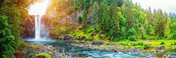 Snoqualmie Falls Panorama stock photo