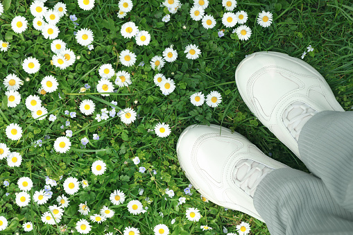 Woman standing on green meadow with beautiful chamomile flowers, top view
