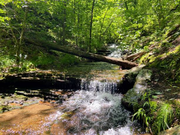 istock Flowing creek in Mt. Magazine State Park, Arkansas 1463551097