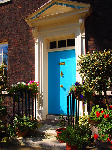 Blue door and colorful plants