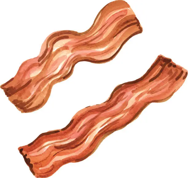 Vector illustration of Watercolor Bacon Element