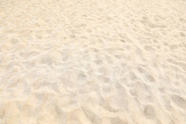 istock Beautiful view of sandy surface as background 1463556795