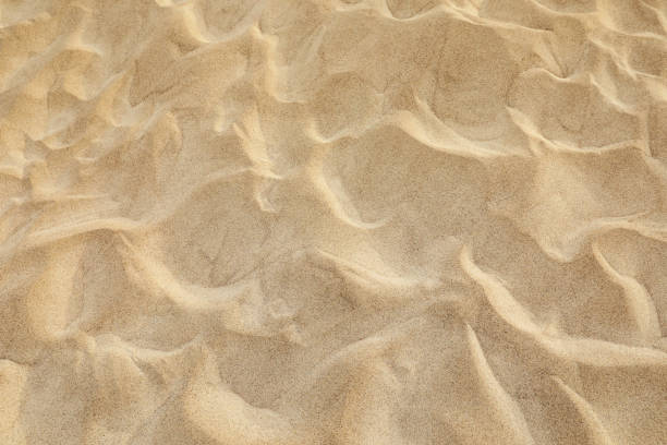 istock Top view of beach sand as background 1463556875