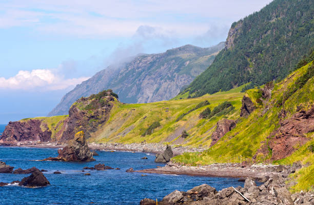 istock Rugged Rocks and Green Hills on a Misty Coast 1463557865