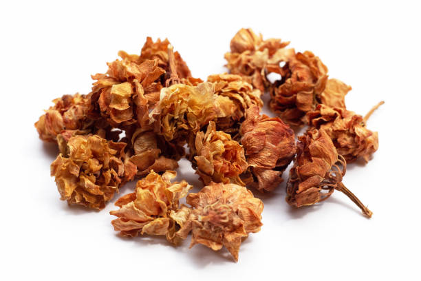 Dried jasmine flowers. Herbal tea