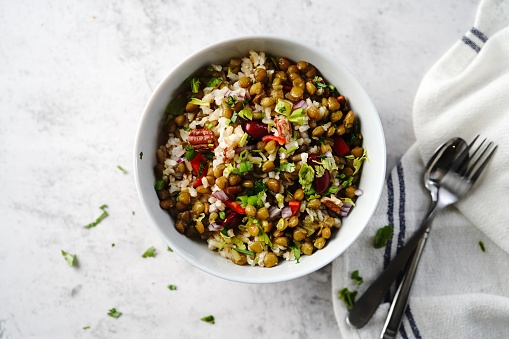 Homemade lentil brown rice salad with vegetables | Healthy eating concept, selective focus