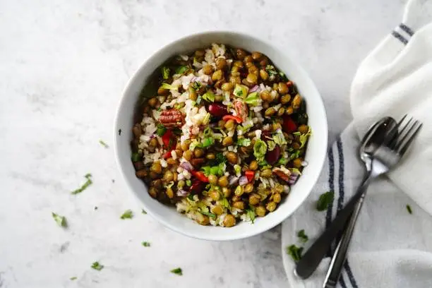 Homemade lentil brown rice salad with vegetables | Healthy eating concept, selective focus