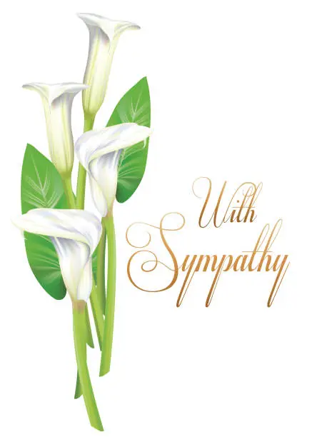 Vector illustration of Calla Lilly With Sympathy Card Design  On A Transparent Background