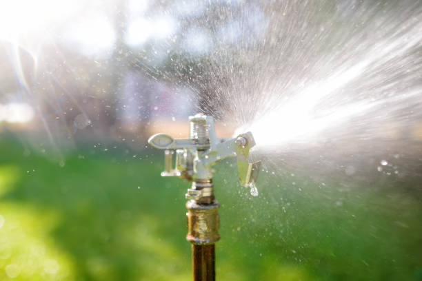 istock Garden sprinkler in sunny backyard. 1463568612