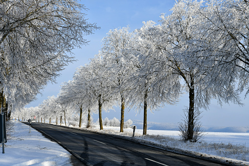 Blick auf eine Straße mit schneebedeckten Bäumen am Fahrbahnrand
