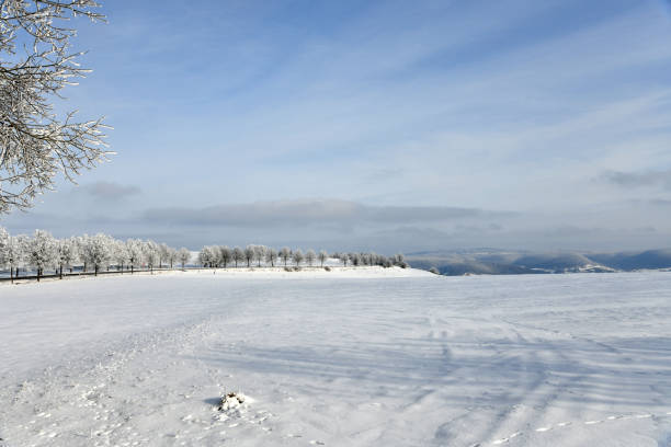 wiejska droga z ośnieżonymi drzewami - car winter road reflector snow zdjęcia i obrazy z banku zdjęć