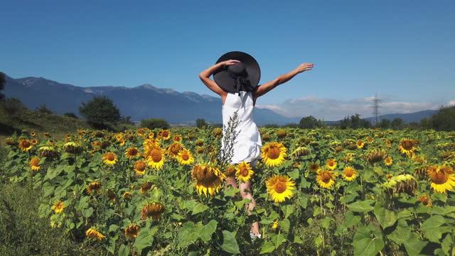 Carefree woman rotate in a field of sunflowers with hands wide open, slow motion