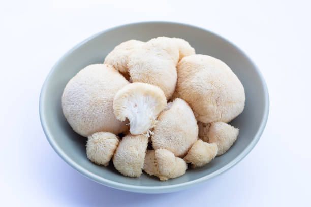 istock Fresh lion's mane mushroom on white background. 1463583687