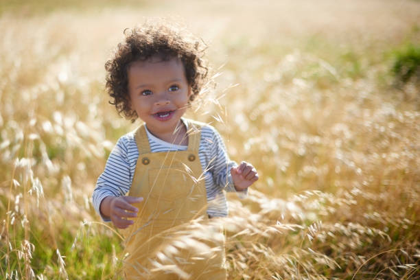 Children, baby and summer with a black girl in a field outdoor in nature for carefree fun or adventure. Kids, freedom and grass with a little female child walking outside in a cornfield of wheat stock photo