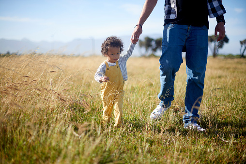 Exploring, child and father holding hands in nature, walking and bonding in New Zealand. Support, love and baby with his dad on a walk in a field for quality time and fathers day travel