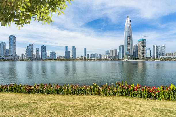 istock Shenzhen city waterfront downtown skyline,China. 1463603581
