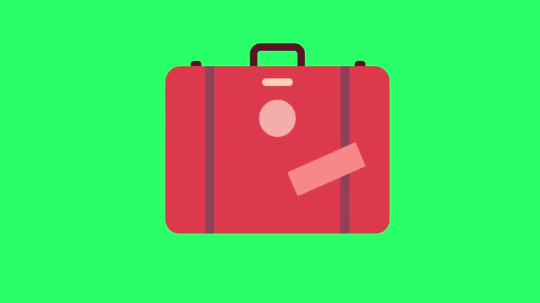 Animation red luggaget isolate on green background.