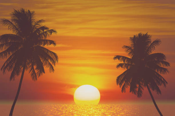 istock tropical palm tree and sea sunset summer background 1463630029