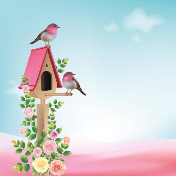 розовый скворечник с птицами, парами, обрамленный розами. - birdhouse animal nest bird tree stock illustrations