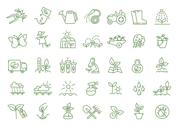 Gardening icon set. Garden tools. Growing plants. Agriculture and gardener. Vector line. Editable outline stroke. Growing seedlings. Set of icons. Plant shoots. Agriculture and farming. Vector editable outline stroke. fertilizer icon stock illustrations
