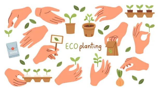 Vector illustration of Eco planting. Plant and sprout growing in hands flat design vector. Vector illustration