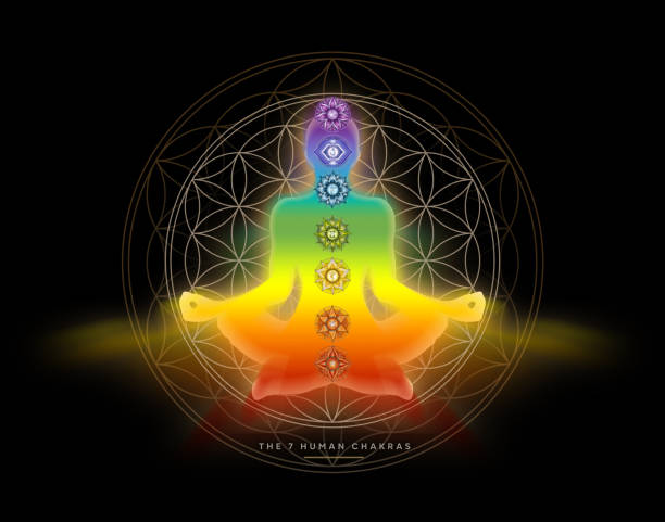 ilustrações, clipart, desenhos animados e ícones de silhueta humana em pose de yoga / lótus com 7 símbolos de chakras e flor da vida. (corpo de energia humana, aura, pose de lótus de yoga). decoração de apoio para meditação e cura energética dos chakras. - om symbol lotus hinduism symbol