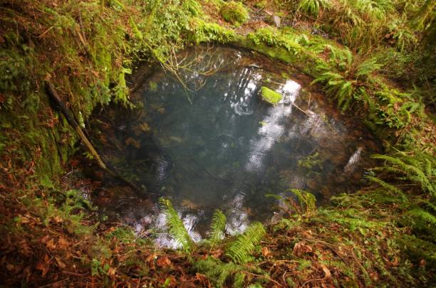 istock Pool of water in forest with ripples from  falling rain 1463640373