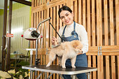 Female professional groomer combing dog fur at pet spa grooming salon