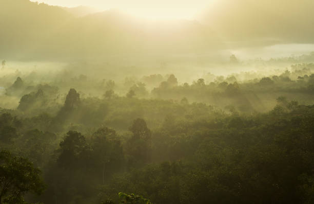 istock fog covered mountain and sunrise 1463647316