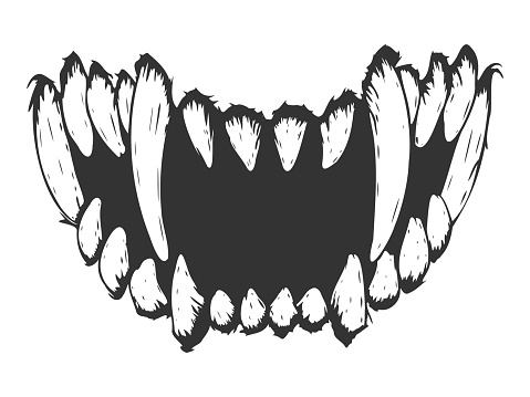 Teeth in a grin. Fang. Vector illustration. Isolated on white, Monochrome, black and white print.