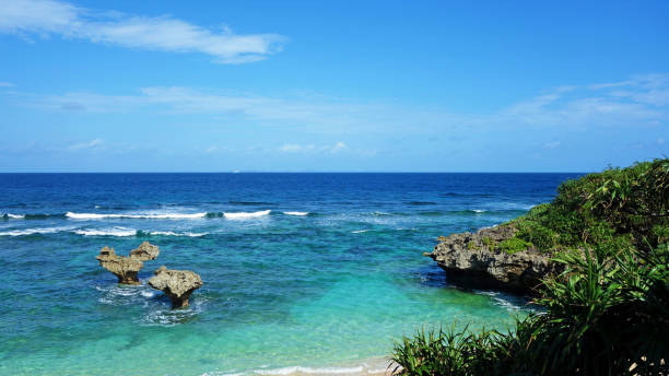 heart rock okinawa sea tine beach nakijin village préfecture d’okinawa - tine photos et images de collection